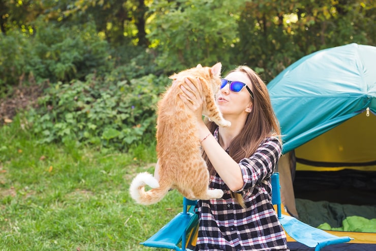 https://hilltopcamplembang.com/tempat-camping-di-lembang-bandung-murah/