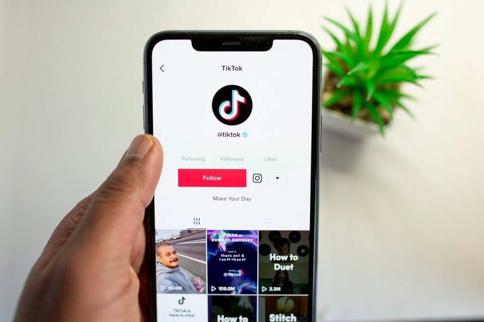 Download Story TikTok Tanpa Aplikasi di HP